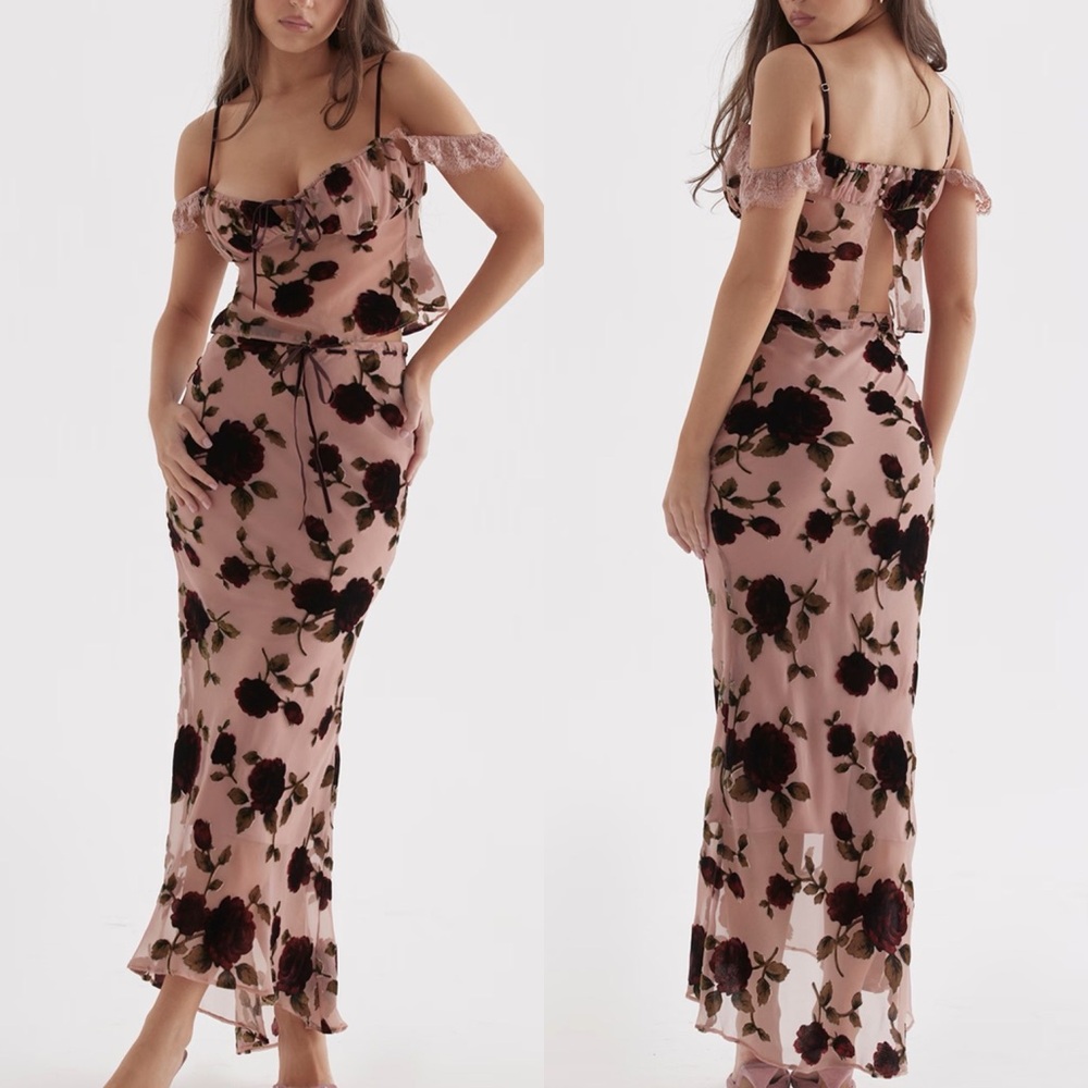 Honey Birdette Blush Pink Floral Velvet Maxi Dress